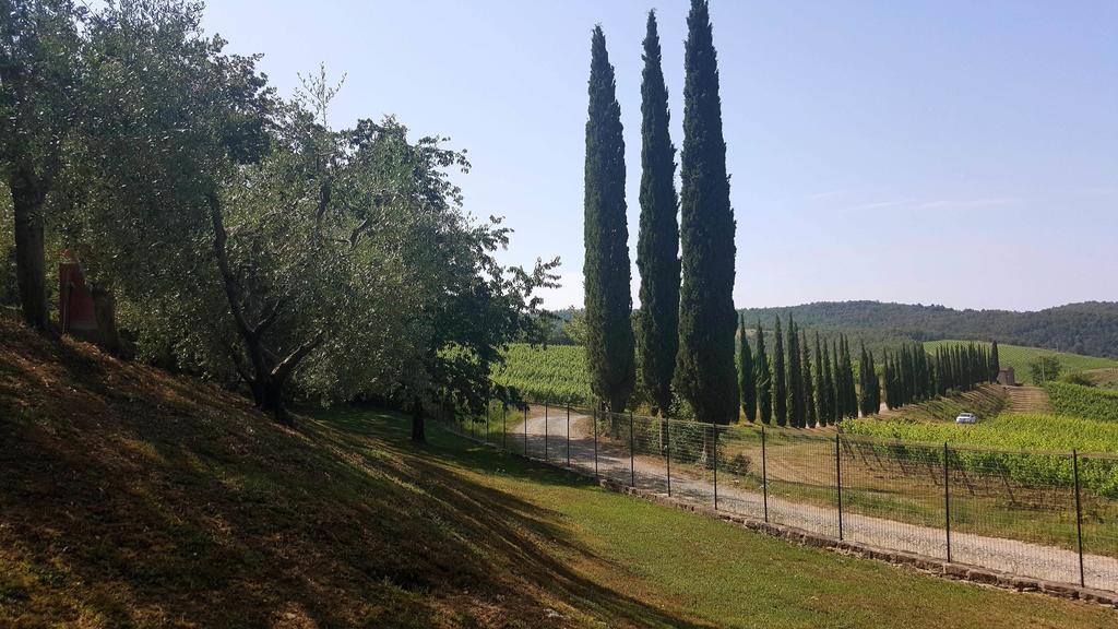 ראדה אין קיאנטי Holiday House Le Selvole מראה חיצוני תמונה